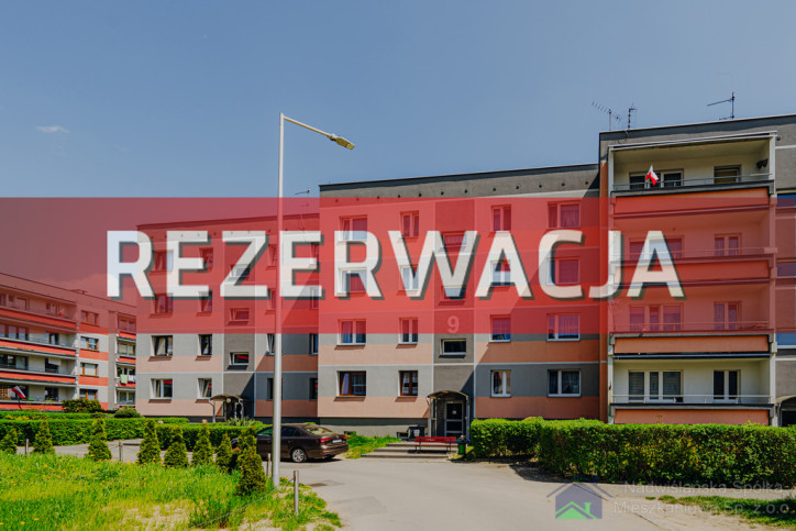 Mieszkanie Wynajem Wola Górnicza 9/39 16