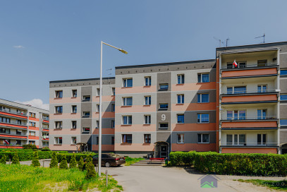 Mieszkanie Wynajem Wola Górnicza 9/39