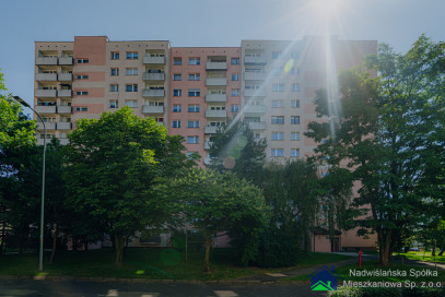 Mieszkanie Wynajem Tychy Rodakowskiego 5/1B