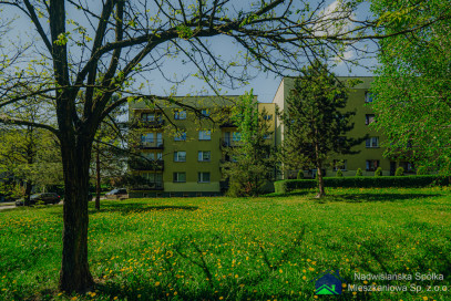 Mieszkanie Wynajem Bieruń Węglowa 45/23