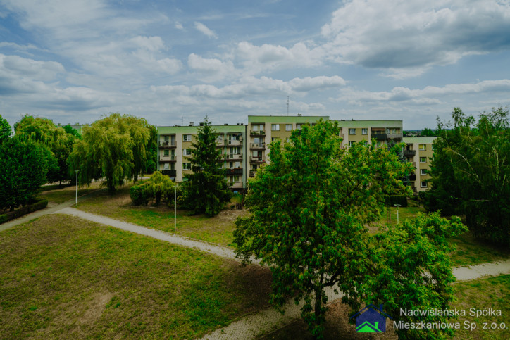 Mieszkanie Wynajem Bieruń Węglowa 45/23 19