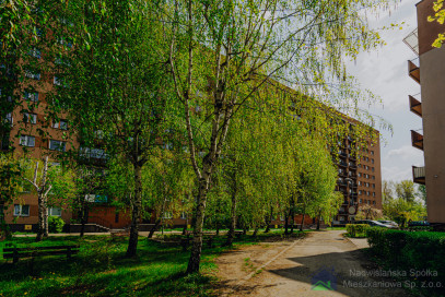 Apartment Rent Mysłowice Boliny 16B/114