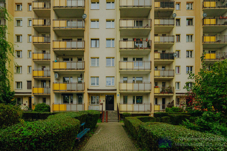 Mieszkanie Wynajem Mysłowice Brzęczkowicka 3A/16 1
