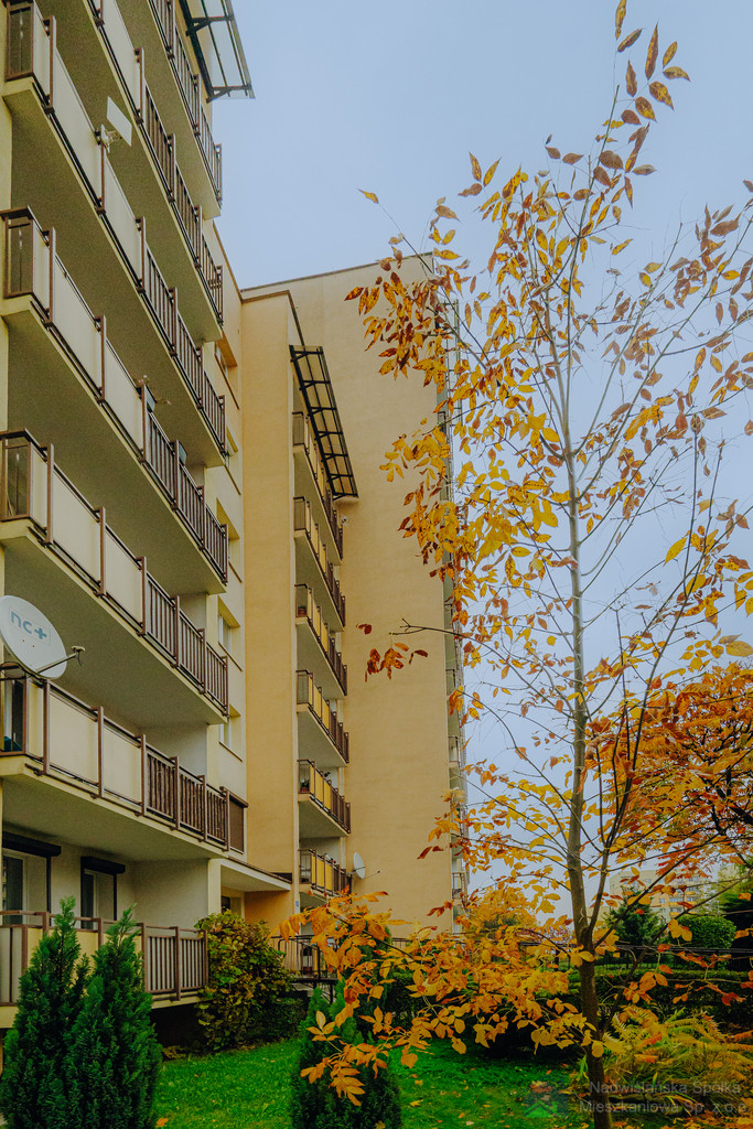 Apartment Rent Mysłowice Brzęczkowicka 3A/16
